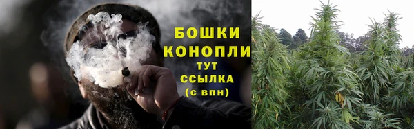 молекула духа Мегион