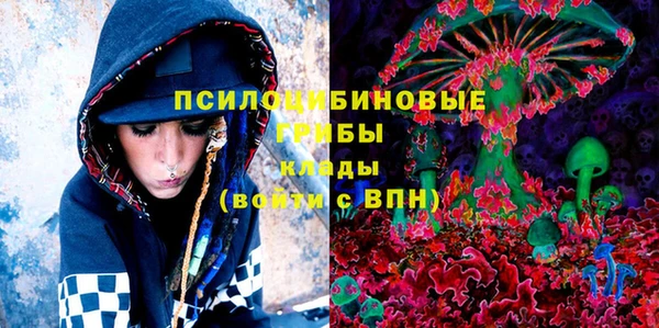Альфа ПВП Михайлов
