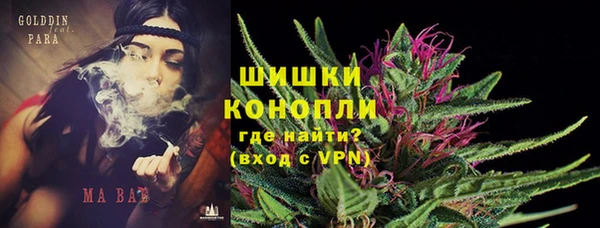 молекула духа Мегион