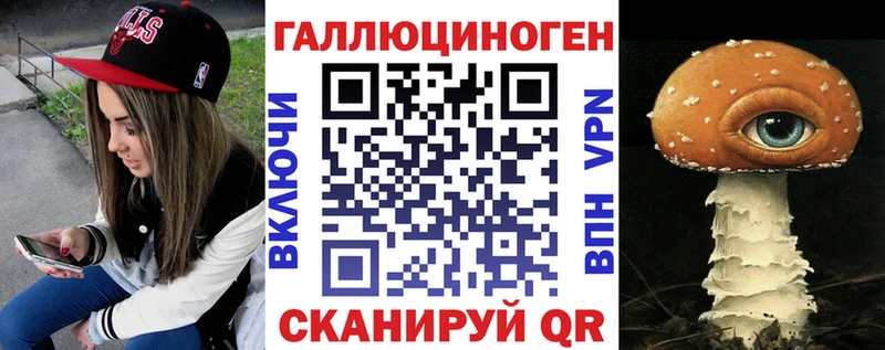 Галлюциногенные грибы Psilocybe  Терек 
